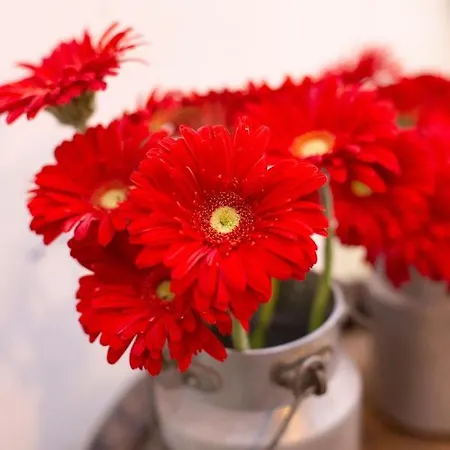 La Pitta 3* Gattinara